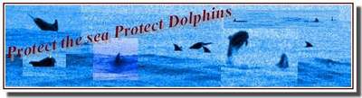 Protect The Sea Protect Dolphins