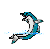 dauphins qui nagent